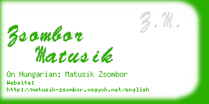 zsombor matusik business card